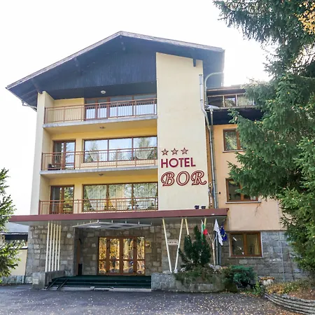 Bor 3*