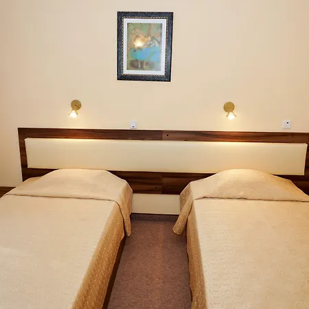 酒店 Bor 波罗维茨