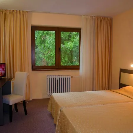 Bor Hotell 3*