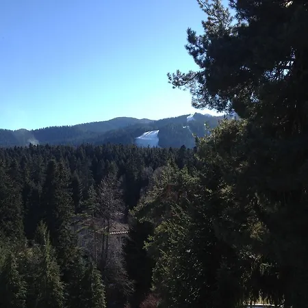 Bor Borovets