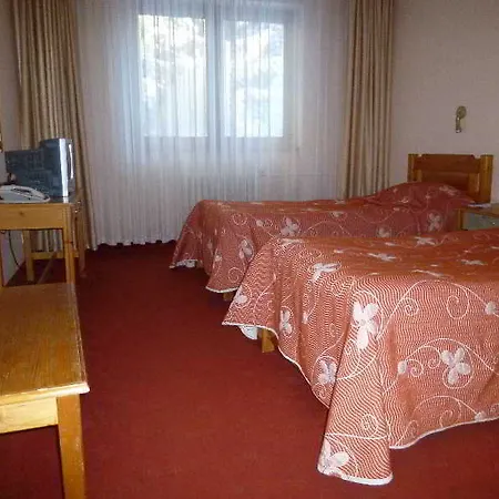 Hotel Bor