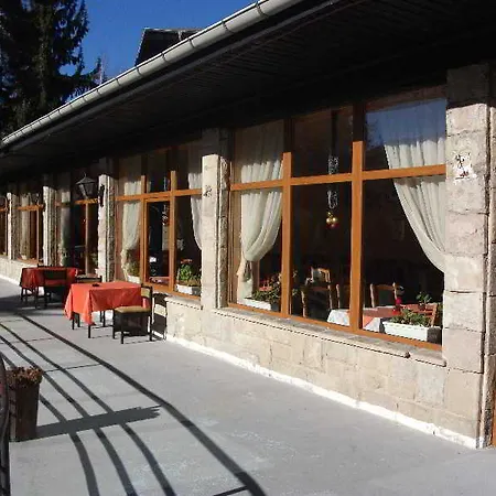 Hotel Bor
