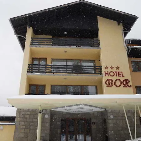 Bor Hotel 3*