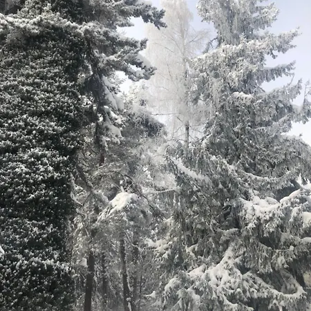 Szálloda Bor Borovec