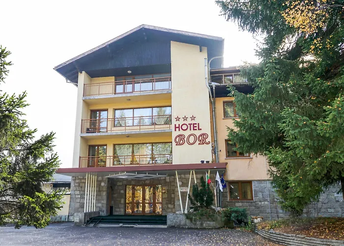 Bor 3*