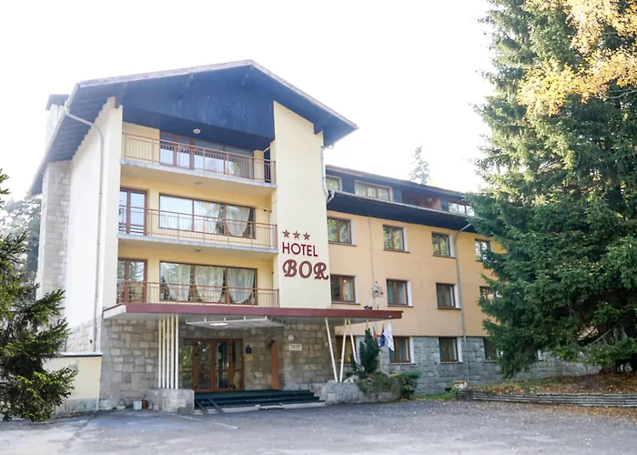 Hotel Bor