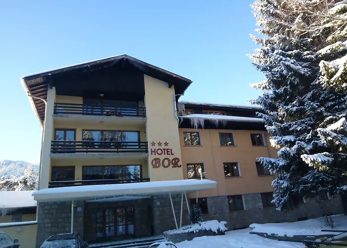 Hotel Bor 3*