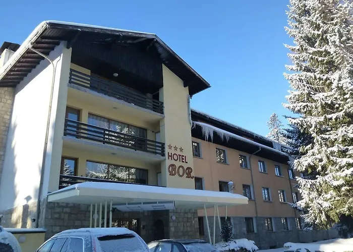 Bor 3*