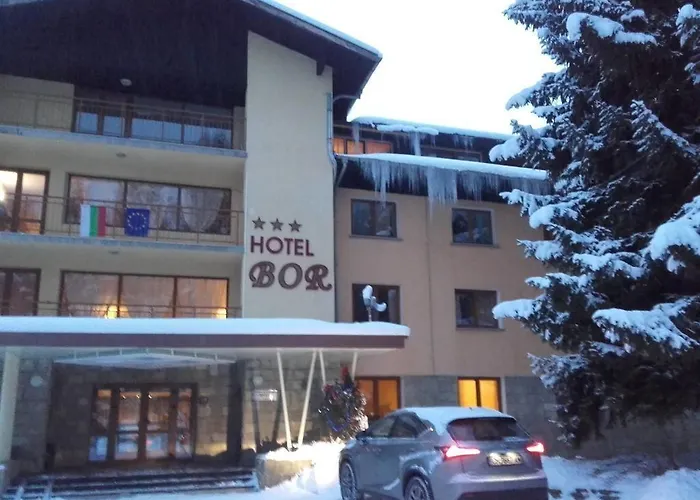 Hotel Bor