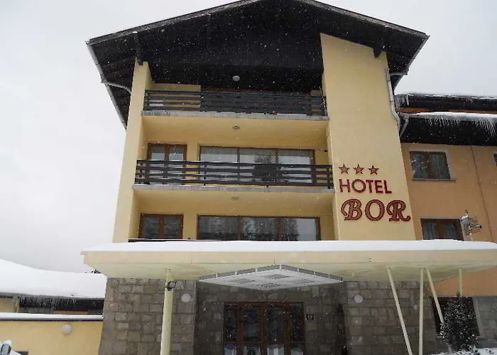 Bor Hotel 3*